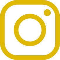 Icone de Rede Social - Instagram - X7 Consultoria